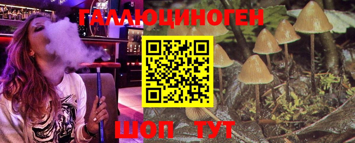 где можно купить   Галлюциногенные грибы ЛСД  Галлюциногенные грибы Cubensis  Вход с VPN  Пугачёв 