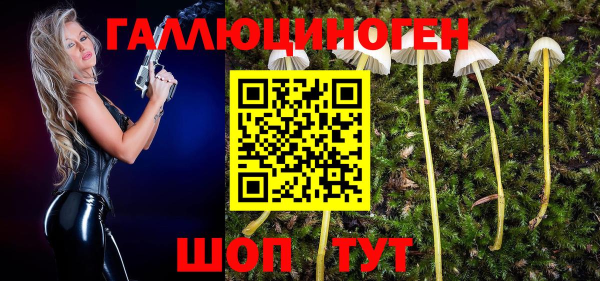 Галлюциногенные грибы Magic Shrooms Пугачёв